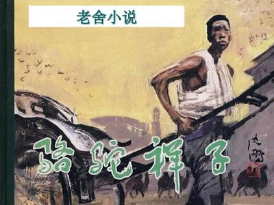 pr九尾狐正能量视频在线观看